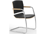 ��Ƥ������ CG-B1