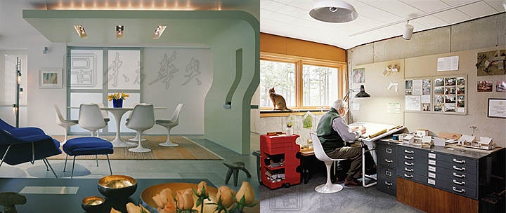 现代经典休闲椅|塑料休闲椅|办公家具|郁金香椅|玻璃钢椅,无扶手郁金香椅,餐椅,休闲椅